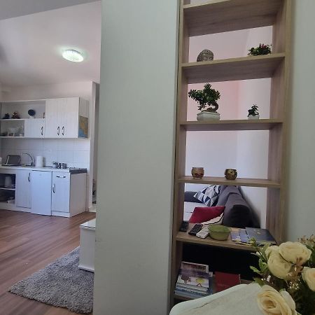 Victory Apartment Nikšić Esterno foto