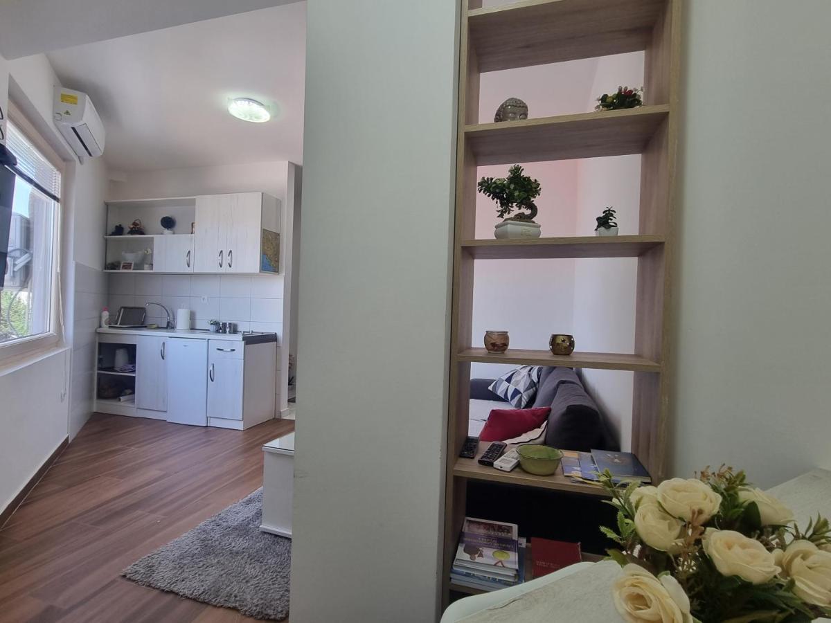 Victory Apartment Nikšić Esterno foto